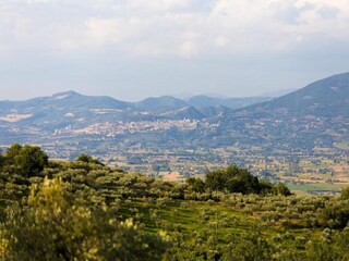 Villa Santa Maria degli Angeli (Assisi) Environment 33