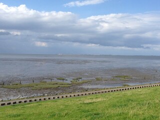 Wattenmeer