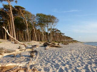 Weststrand mit Windflüchter