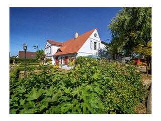 Ferienwohnung Born an der Darß Außenaufnahme 5