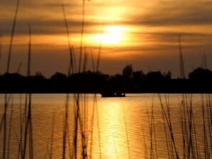 Chalet Livslyst, Urlaub am IJsselmeer - Medemblik - image1