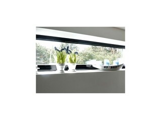 Appartamento per vacanze Wangerooge Registrazione all'aperto 15