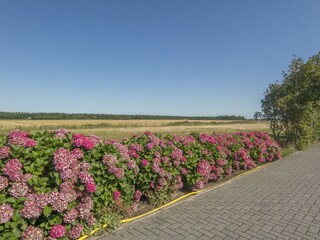 Bungalow Den Hoorn Ambiente 19