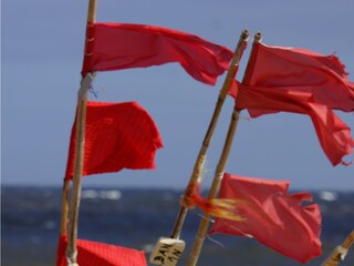 Fahnen im Wind