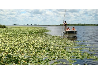 Fruehling auf dem See