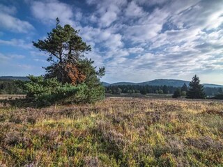 Appartement Winterberg Omgeving 22