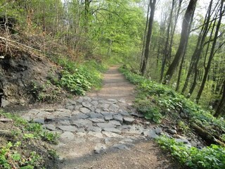 Appartement Winterberg Omgeving 25