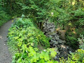 Appartement Winterberg Omgeving 26