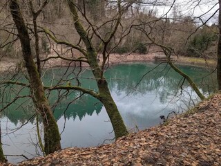 Appartement Winterberg Environnement 28