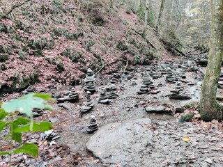 Appartement Winterberg Environnement 51