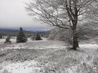 Appartement Winterberg Environnement 53