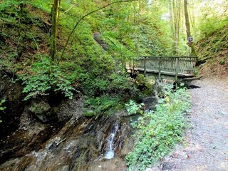 Appartement Winterberg Omgeving 34