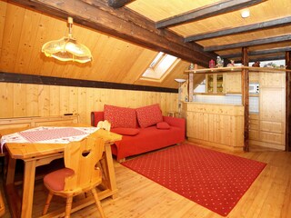 Appartamento per vacanze Patergassen Caratteristiche 9