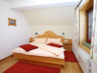 Appartamento per vacanze Patergassen Caratteristiche 10