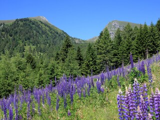 Appartamento per vacanze Patergassen Registrazione all'aperto 7