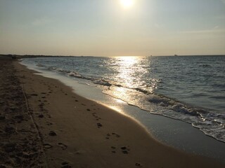 Casa per le vacanze Breskens Caratteristiche 11