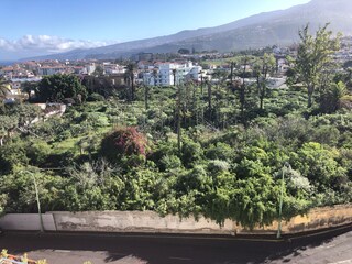 Appartamento per vacanze Puerto de la Cruz Ambiente 31