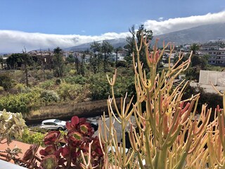 Appartamento per vacanze Puerto de la Cruz Registrazione all'aperto 6