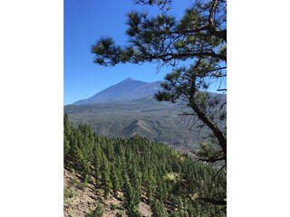 Appartamento per vacanze Puerto de la Cruz Ambiente 24