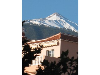 Teide mit Häubchen