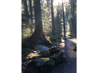 Apartamento de vacaciones Breitenberg Entorno 21