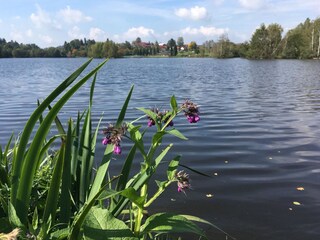 Apartamento de vacaciones Breitenberg Entorno 23