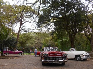 Oldtimer im mystischen Bosque de la Habana