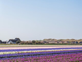 Casa per le vacanze Callantsoog Ambiente 31