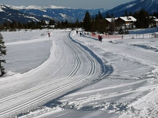 Appartamento per vacanze Hochkrimml Ambiente 15