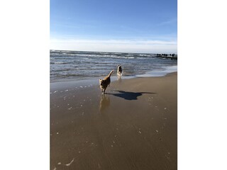 Casa per le vacanze Julianadorp Ambiente 23