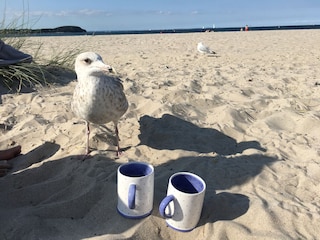 Kaffee am Naturstrand Priwall