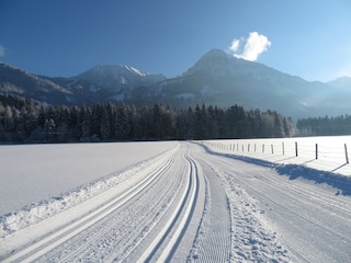 Langlaufloipe in Langenwang