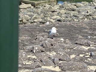 Vakantiehuis Brouwershaven Omgeving 34