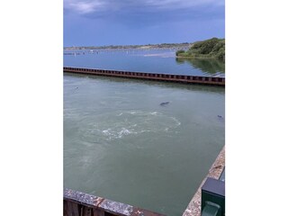 Maison de vacances Brouwershaven Environnement 39