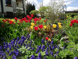 im Frühling im Garten