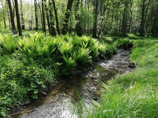 An der Spree