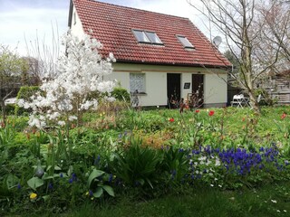 Frühling