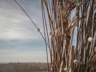 Ferienwohnung St. Peter-Ording Umgebung 23