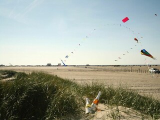 Ferienwohnung St. Peter-Ording Umgebung 28