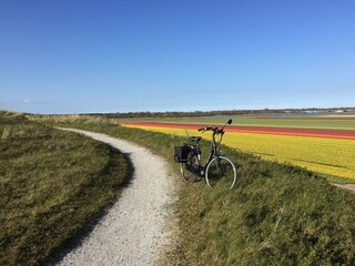 Vakantiehuis Julianadorp Omgeving 23