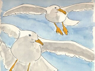 Vakantiehuis Julianadorp Omgeving 38