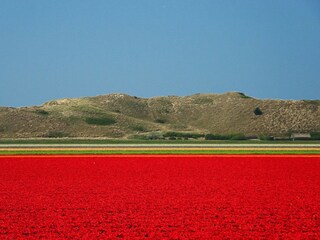 Vakantiehuis Julianadorp Omgeving 21