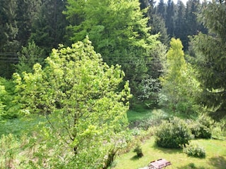 Apartment Schleusegrund Environment 19