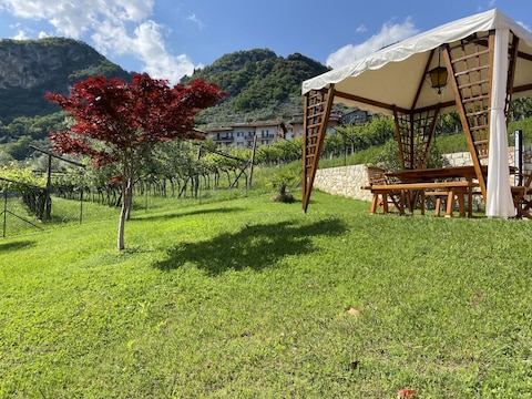 Holiday house Villa Desy
