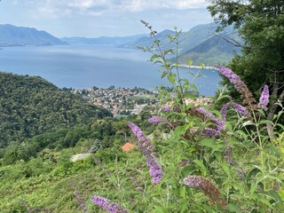 Appartamento per vacanze Maccagno Ambiente 21