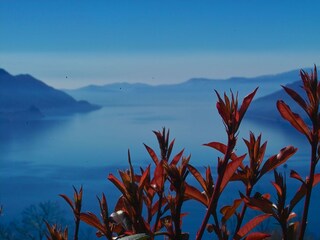 Appartamento per vacanze Maccagno Ambiente 19