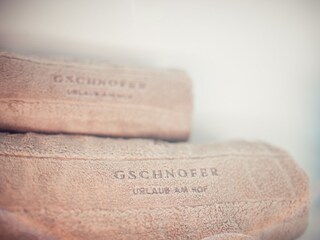 Appartamento per vacanze Terlan Caratteristiche 16