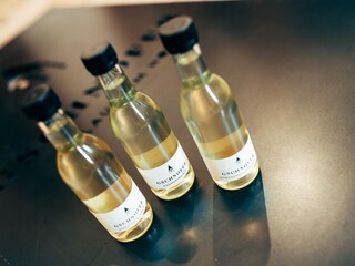 Appartamento per vacanze Terlan Ambiente 23