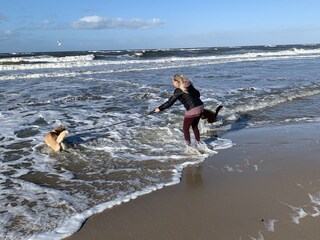 Maison de vacances Kampen Environnement 61