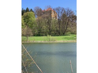 Blick vom Badeteich zum Schloss